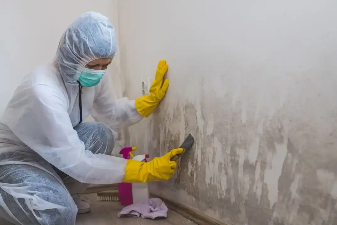 water damage restoration service East Beechwold